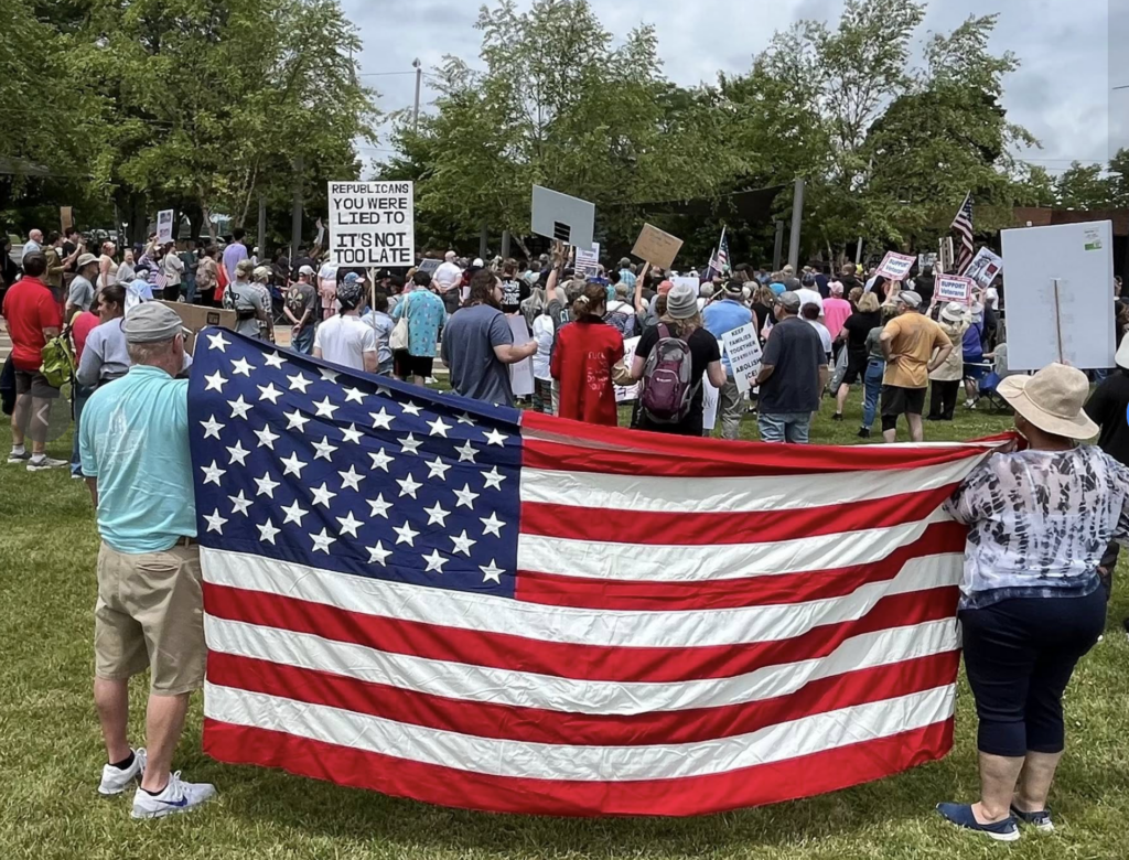 Indivisible with flag